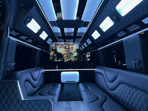 Inside of Limousine seating area