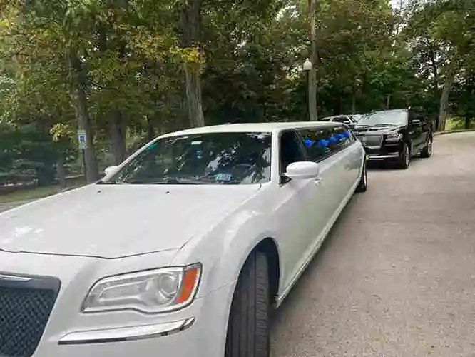 front view of white limo parked in a forest